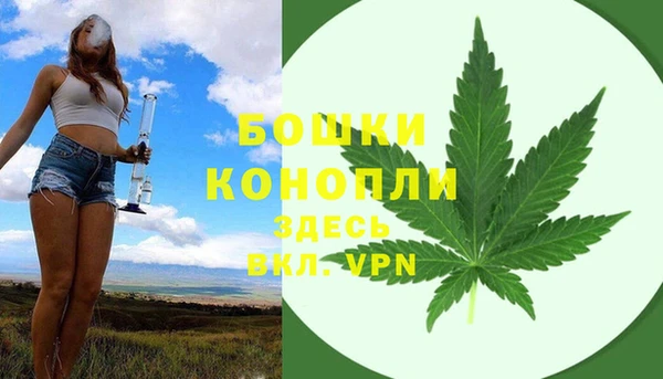 МДПВ Воткинск