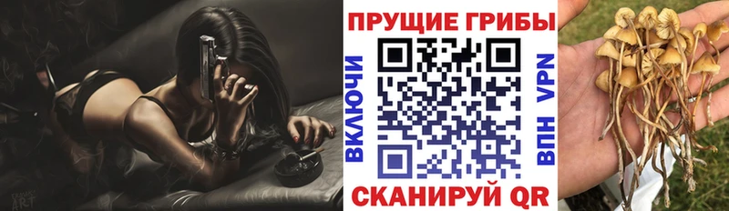 гидра ссылка  купить закладку  Киреевск  Псилоцибиновые грибы ЛСД 